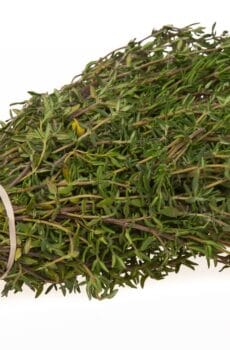 Thym (Feuille)